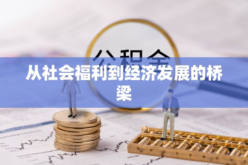 同安从社会福利到经济发展的桥梁
