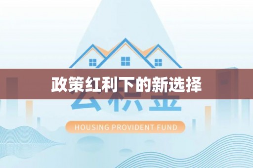 同安政策红利下的新选择
