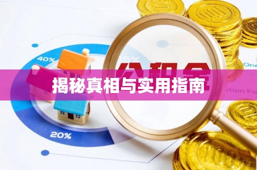 同安揭秘真相与实用指南