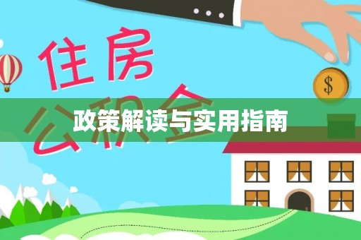同安政策解读与实用指南