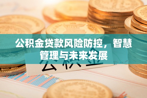 同安公积金贷款风险防控，智慧管理与未来发展