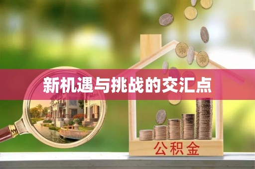 同安新机遇与挑战的交汇点