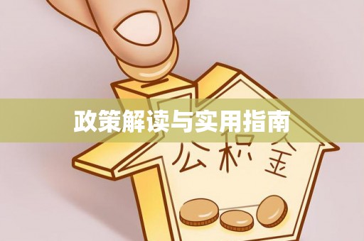 同安政策解读与实用指南