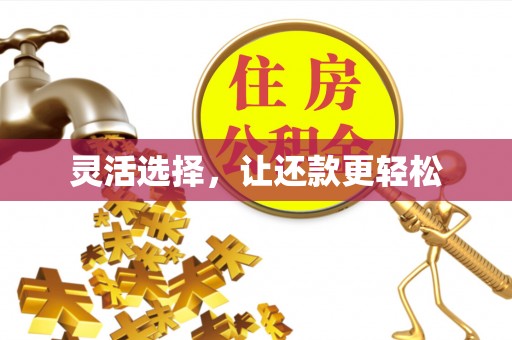 同安灵活选择，让还款更轻松