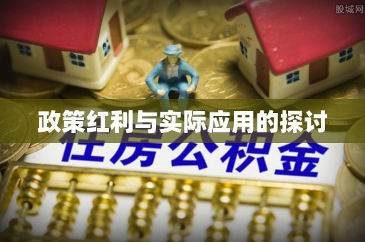 同安政策红利与实际应用的探讨