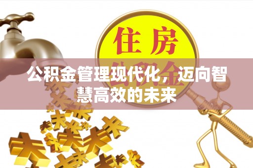同安公积金管理现代化，迈向智慧高效的未来