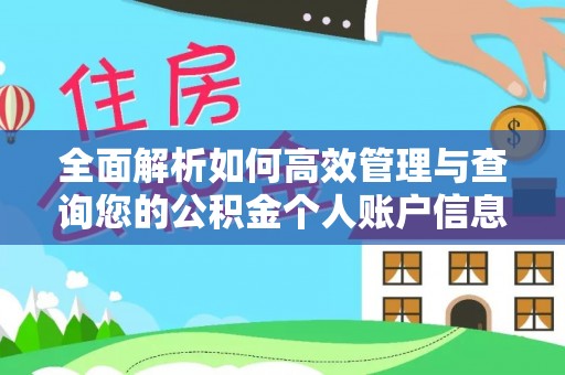 同安全面解析如何高效管理与查询您的公积金个人账户信息