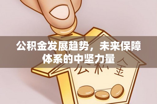 同安公积金发展趋势，未来保障体系的中坚力量