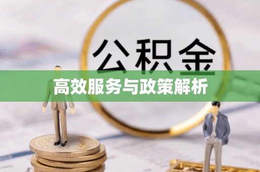 同安高效服务与政策解析
