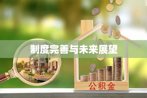 同安制度完善与未来展望