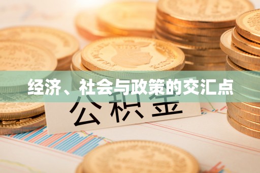 同安经济、社会与政策的交汇点