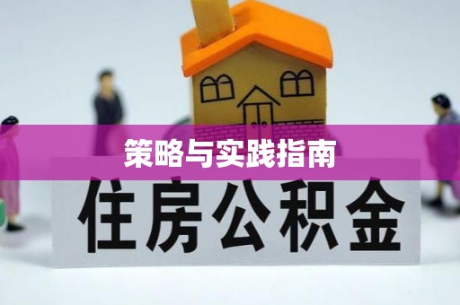 同安策略与实践指南