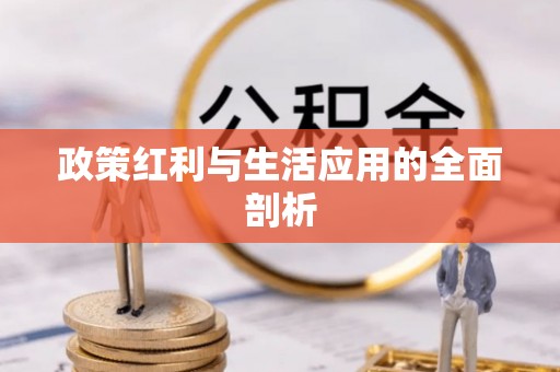 同安政策红利与生活应用的全面剖析