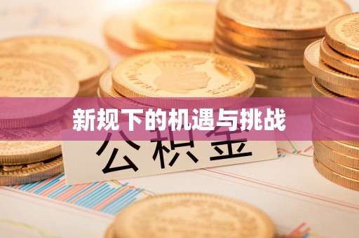 同安新规下的机遇与挑战