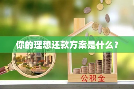 同安你的理想还款方案是什么？