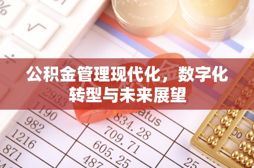 同安公积金管理现代化，数字化转型与未来展望