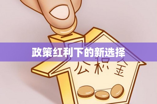 同安政策红利下的新选择