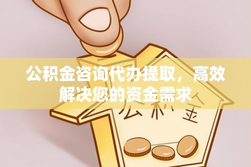 同安公积金咨询代办提取，高效解决您的资金需求
