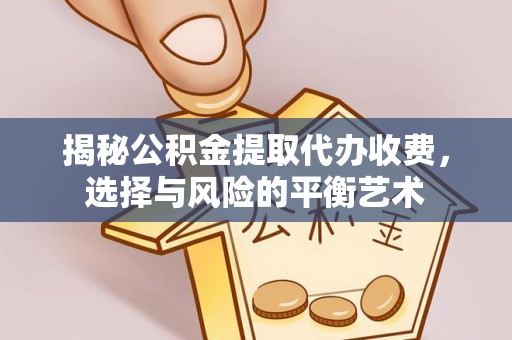 同安揭秘公积金提取代办收费，选择与风险的平衡艺术
