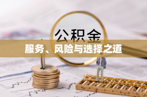 同安服务、风险与选择之道
