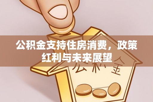 同安公积金支持住房消费，政策红利与未来展望