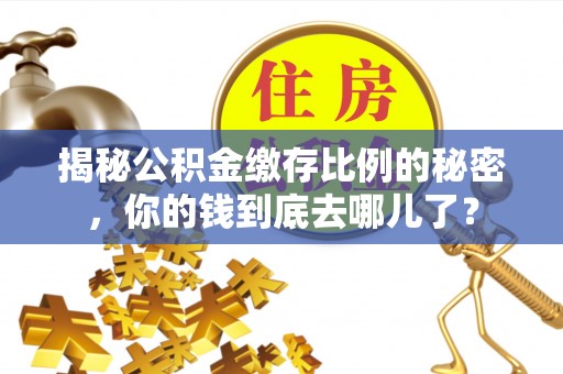 同安揭秘公积金缴存比例的秘密，你的钱到底去哪儿了？