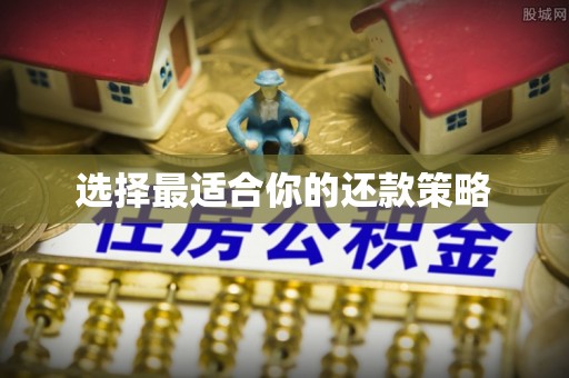 同安选择最适合你的还款策略