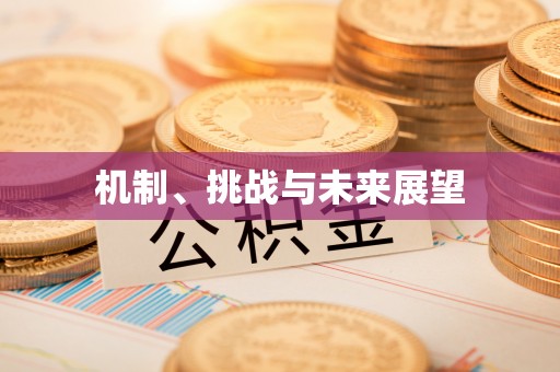 同安机制、挑战与未来展望