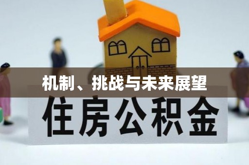 同安机制、挑战与未来展望